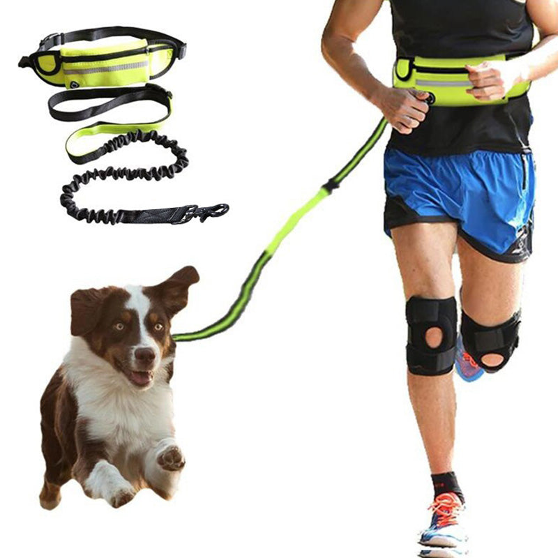 Hands-free dog leash with shock-absorbing bungee belt, phone pocket and water bottle holder