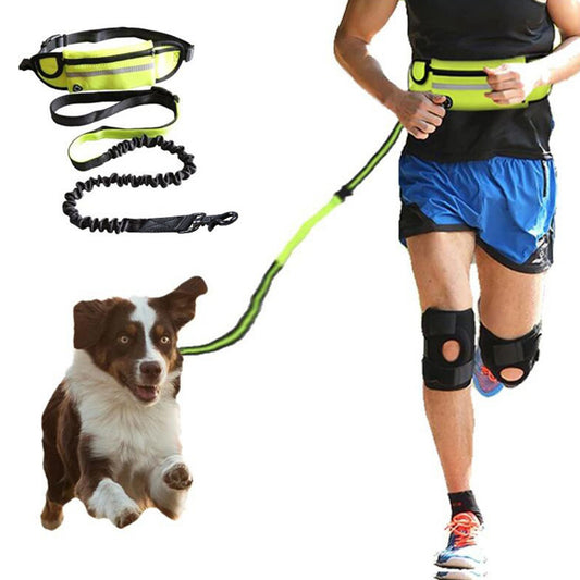Hands-free dog leash with shock-absorbing bungee belt, phone pocket and water bottle holder